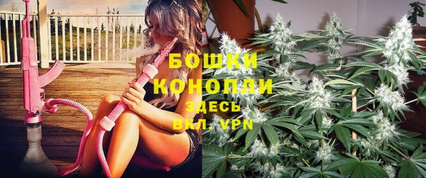PSILOCYBIN Михайловск