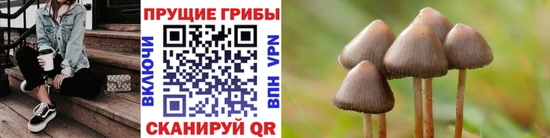 кракен ССЫЛКА  Урень  Псилоцибиновые грибы GOLDEN TEACHER 